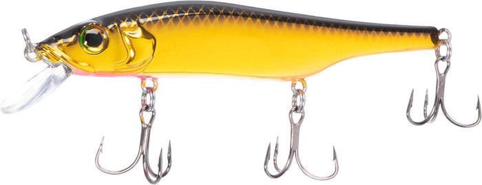 Gold Blk/Orange Belly / Size 100mm