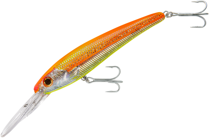 Sunrise / 8 inch - 4 oz - 30 feet