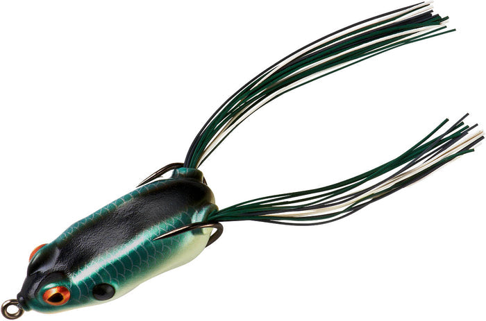 Shad Frog