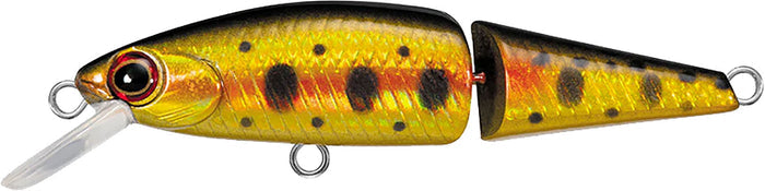 Daiwa DR Minnow Jointed Sinking Jerkbait - 2 Inches Cali Gold