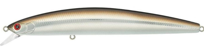 Sand eel
