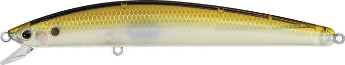 Translucent Minnow