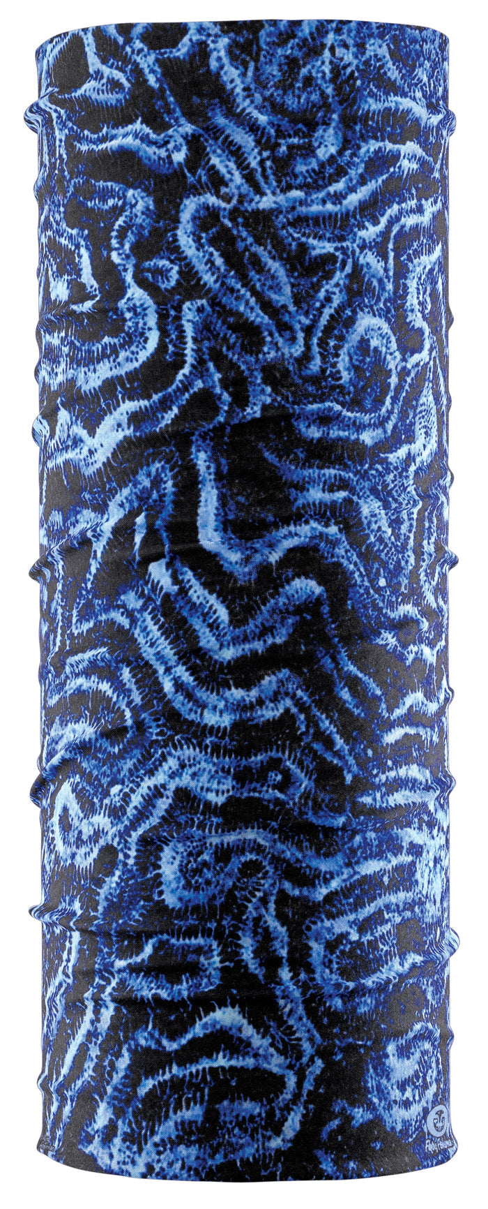 Fossil