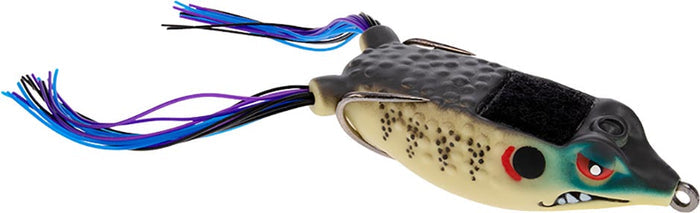 Frog Factory Boom Boom Frog - 2.5 Inch - Gilly