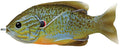 LIVETARGET Hollow Body Sunfish - Natural/Blue Pumpkinseed