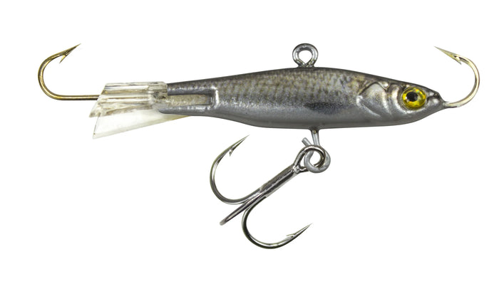 Gizzard Shad / 1/2 oz