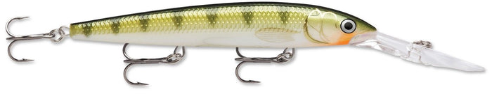 Yellow Perch