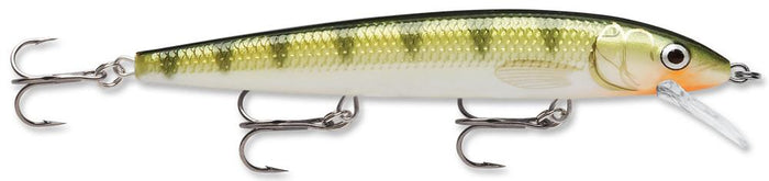 Yellow Perch