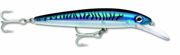 Silver Blue Mackerel