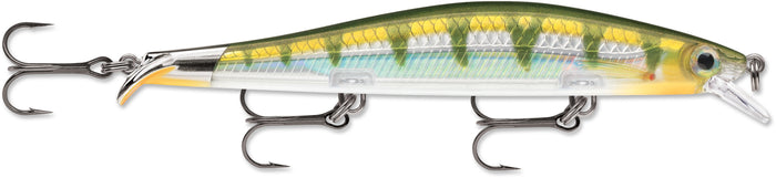 Yellow Perch