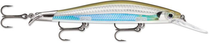 Moss Back Shiner