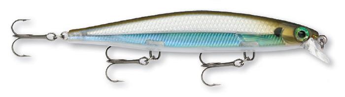 Moss Back Shiner