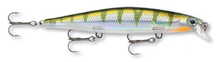Yellow Perch