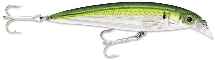 Pilchard