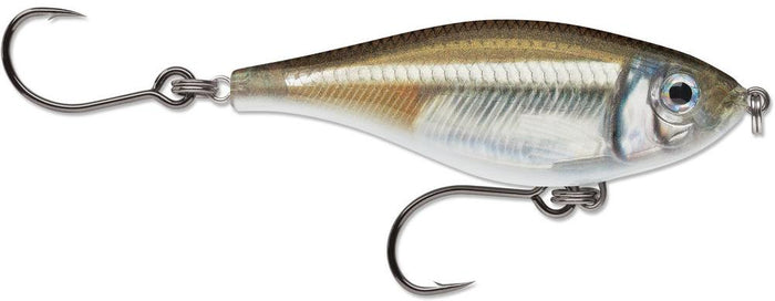 Mangrove Minnow