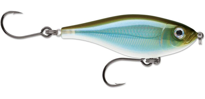 Moss Back Shiner