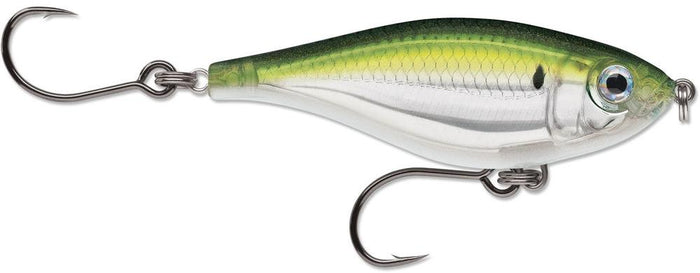 Pilchard