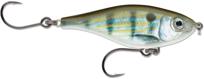 Pinfish