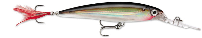 Rapala XR-10 X-Rap Deep Diving Jerkbait - 4 Inch - Silver