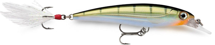 Yellow Perch