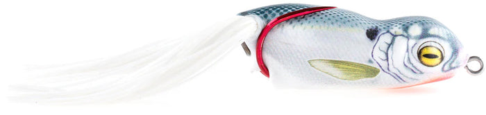 Scum Frog Launch Frog - Shad